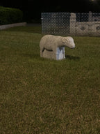 ７／１９日　日曜　１限モンゴルからいらした劉先生のホーミーとモンゴル文化の授業