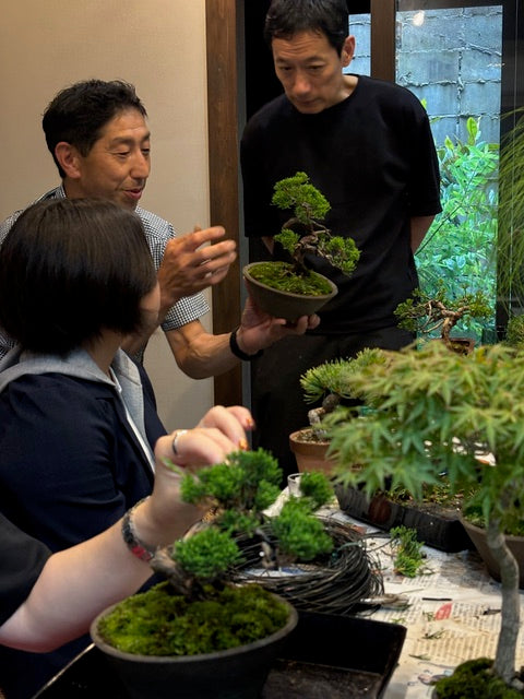 盆栽の授業