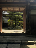 ８月２５日火曜日　３限総本山三井寺長吏　福家　俊彦　先生